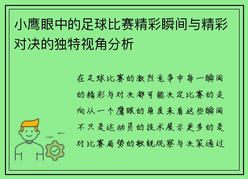 小鹰眼中的足球比赛精彩瞬间与精彩对决的独特视角分析