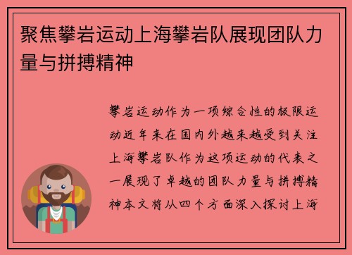 聚焦攀岩运动上海攀岩队展现团队力量与拼搏精神